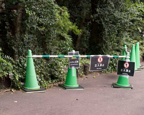 上野動物園 マレーグマ舎