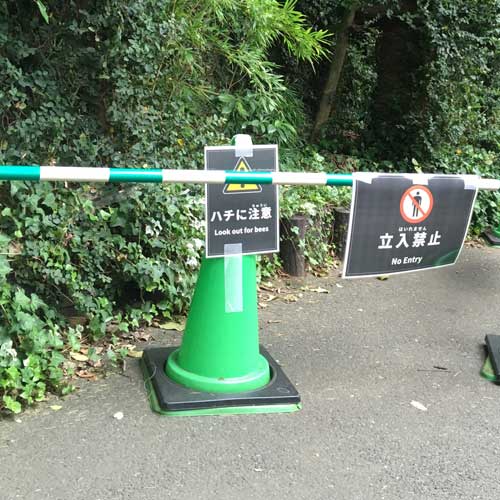 上野動物園 マレーグマ舎